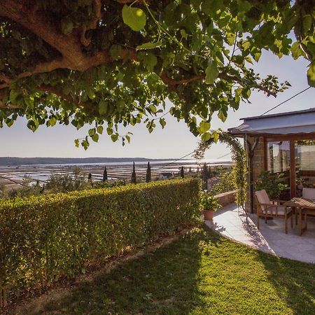 Apartment Stella Portorož Dış mekan fotoğraf
