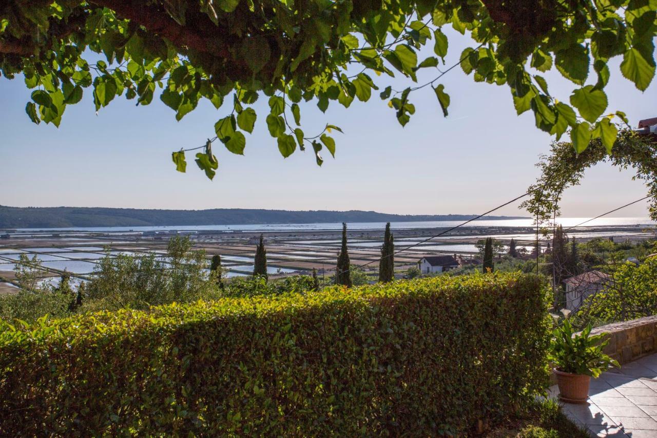 Apartment Stella Portorož Dış mekan fotoğraf